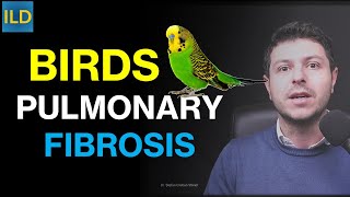Pulmonary Fibrosis and Birds!