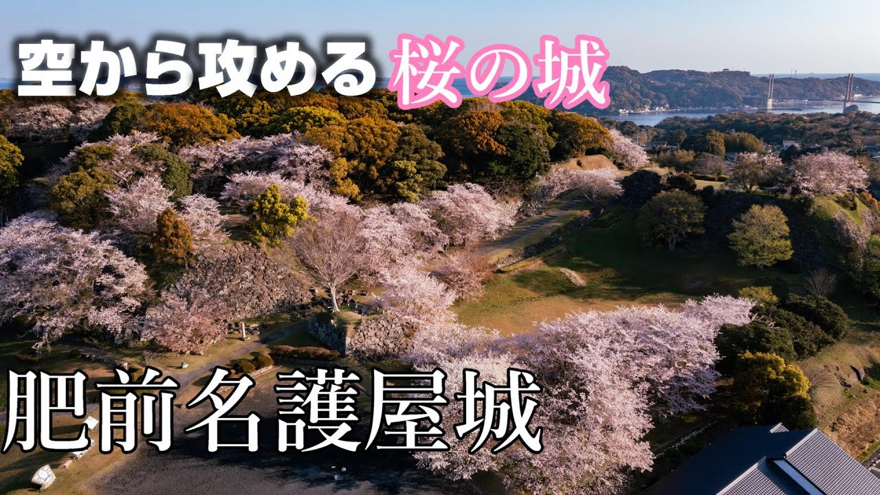 肥前名護屋城と桜　2022