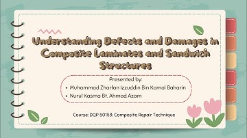 Understanding defect and damages in composite laminates and sandwich structures - DQP 50153