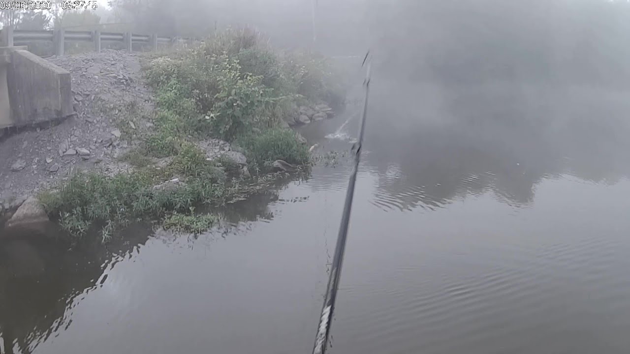 Early Fall 2020 Top Water Bass Fishing on Old Hickory Lake - YouTube