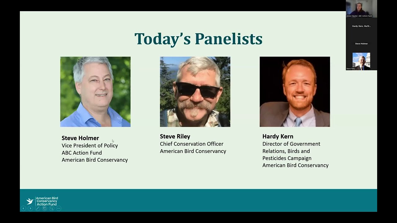 What's Next for Bird Conservation? 2024 Conservation Achievements and What's to Come in 2025