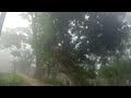 পহেলা নববর্ষ যেন মাঘ মাস চলতেছে, খুবই ঘন কুয়াশা পড়তেছে।