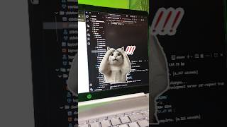 Building Angular project for my resume🔥How to build the best project using#frontend #shorts #project
