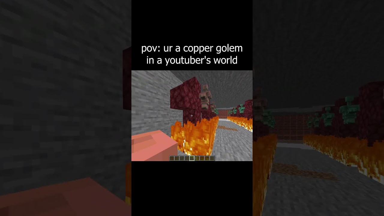 Pov You Re A Copper Golem In Minecraft Youtuber S World