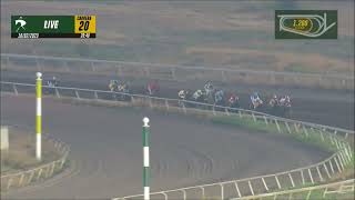 Vidéo de la course PMU PRIX TE CREES LINDA