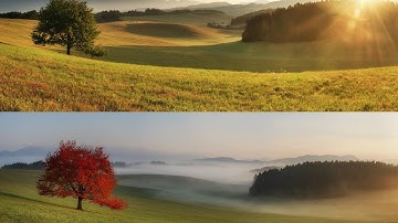 COMPOSE VS VARIABLES IN POWER AUTOMATE