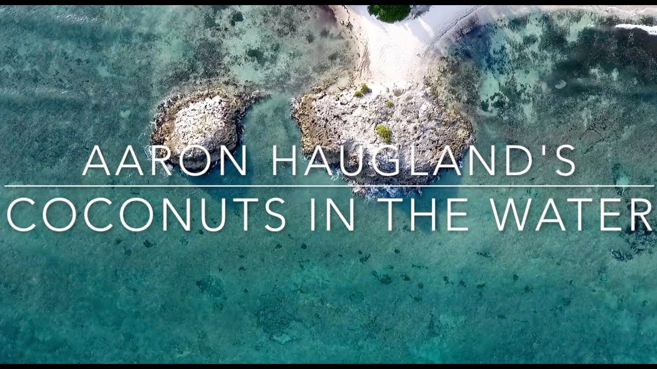 Aaron Haugland Coconuts in The Water (Lyric Video) YouTube