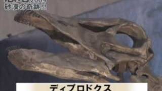 恐竜２００９～砂漠の奇跡～ プロローグ カーネギー発掘地