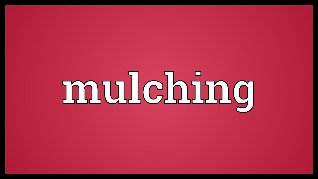Mulching Meaning YouTube