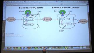 #33 Biochemistry Electron Transport/Oxidative Phosphorylation Lecture for Kevin Ahern's BB 451/551