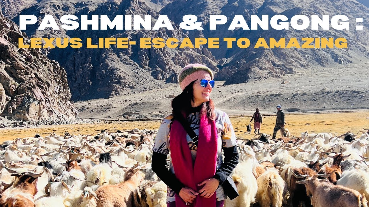Pashmina & Pangong: Discovering Ladakh's Secrets | LEXUS LIFE- ESCAPE TO AMAZING “LEH CHAPTER”