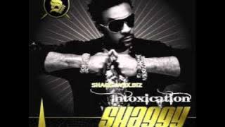 Shaggy - I Can't Fight This Feeling (Baddaz Riddim)