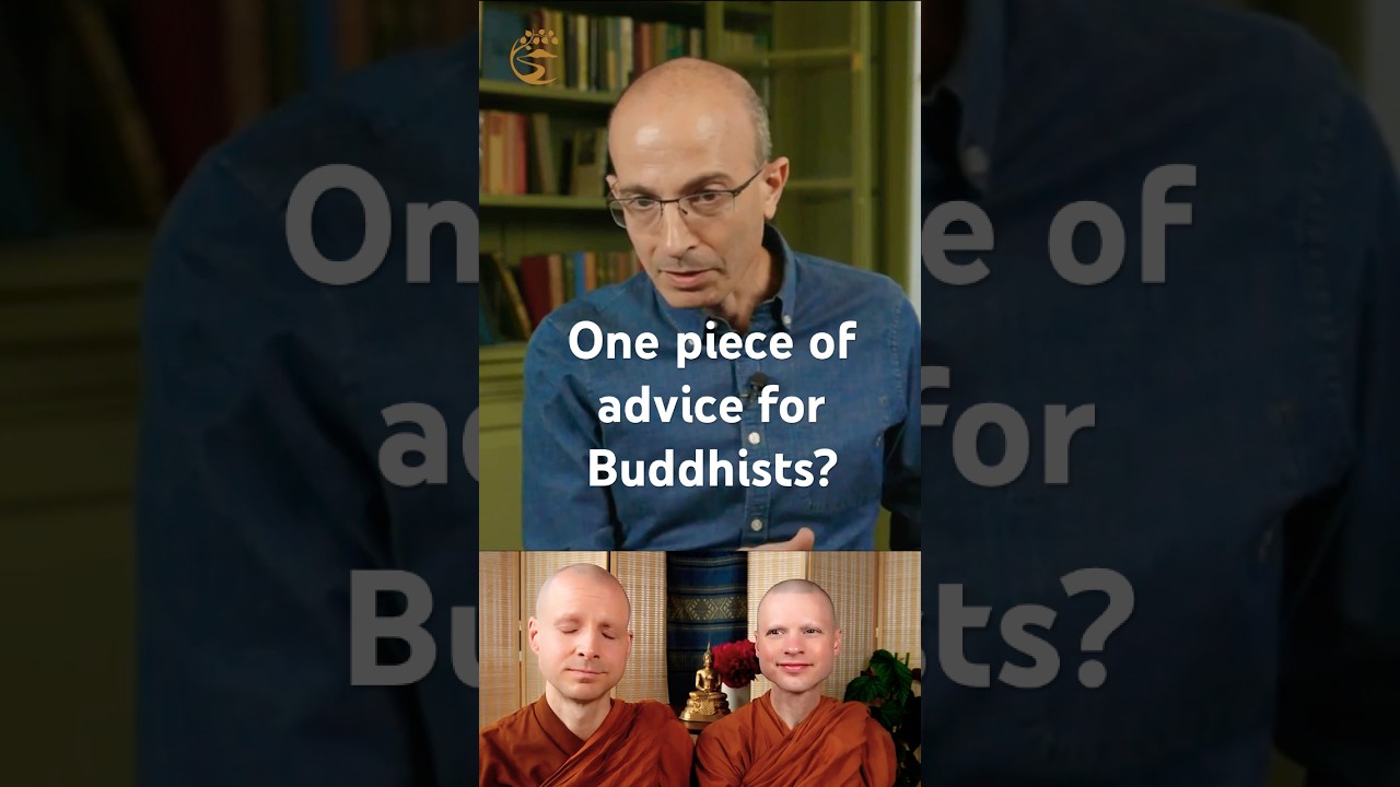 «Один совет для буддистов…» | Юваль Ной Харари 