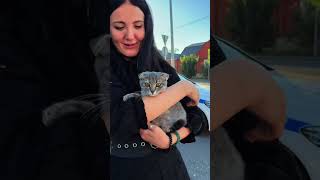 Блогер показала, на каких машинах ездит полиция Чечни