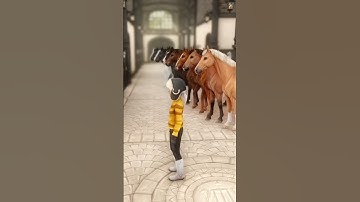 Show me the reason you have no money 🤣 #sso #starstable #starstableonline #ssohorses #shorts #horse