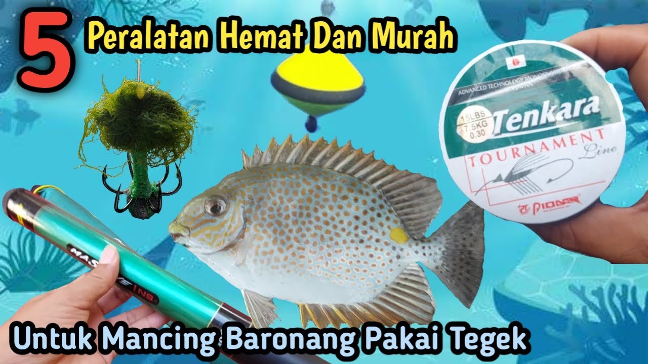 Снести!!!  5 наборов дешевых, но мощных рыболовных снастей для ловли баронангов с помощью тегека