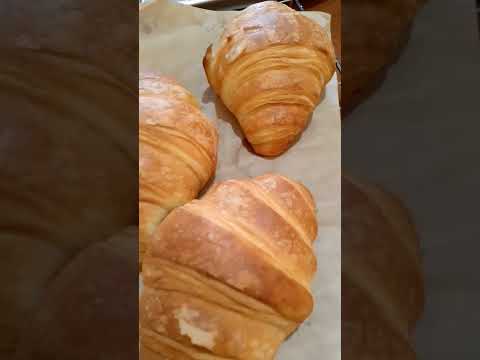 If I Have To Choose Between Love And Food