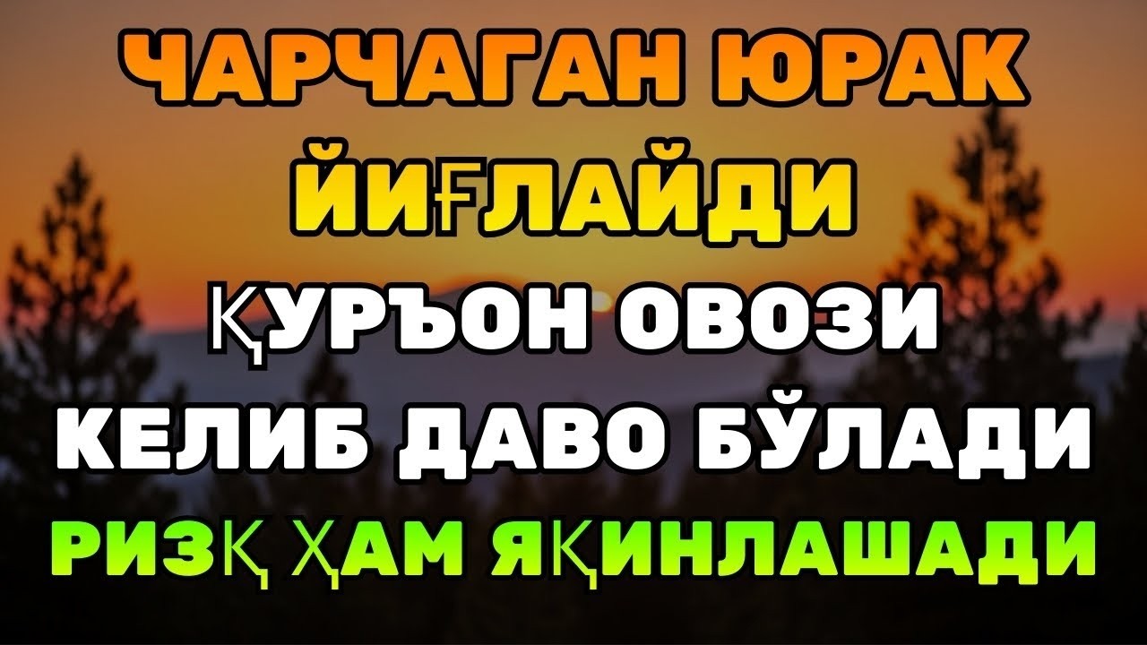 СУБҲОНАЛЛОҲ! Уни тинглаганингда юрак дарҳол титрайди — Ризқ очувчи Қуръон овози