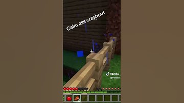 Calmest crash out ever 😭😭 #crashout #funny #viralvideo #minecraftmemes #minecraft #EVILWRLDINC