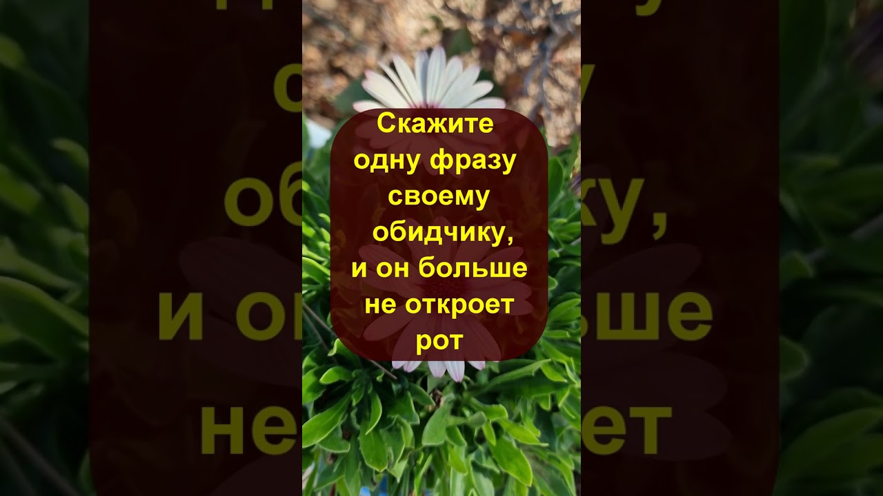 Скажите одну фразу своему обидчику, и он больше не откроет рот