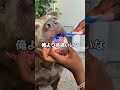 こんな歯磨き見たことない