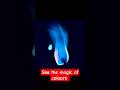🔥flame test#flame #colours #magic #viralvideo #yt#ytviral