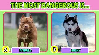 🦴 Can You Guess All 25 Dog Breeds Ultimate Dog Quiz! 🐶✅ | Quiz Nebula TV!