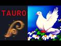 TAURO ESTÁS A UN PASO DE VERLO TODO CLARO! HAY ALGO QUE VA A 🍀🚨😉💸‼️CAMBIAR Y NO TE LO HAN DICHO!