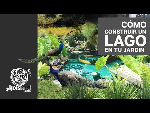 Video: Jardines y tortugas: creación de un estanque o jardín de tortugas al aire libre