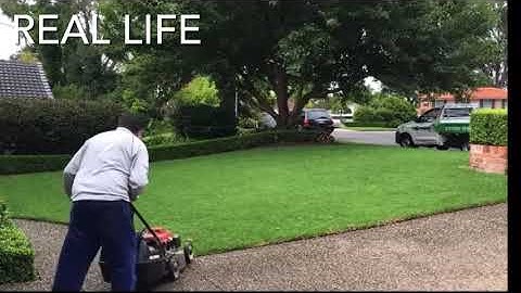 Minecraft VS Real life Weeding