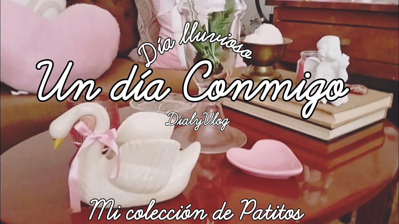 Día sola en Casa 🏡 Acompáñame 🩷 mi pequeña colección de Patitos 🧺🪿🦆❤️