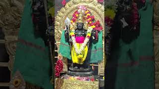 செந்தூர் முருகன் திருக்கோவில் | Senthur Murugan Temple Poja | periyasamyMedia #live #trending