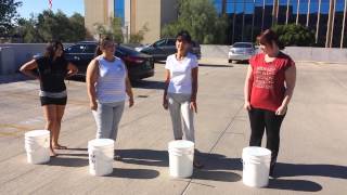 Phx front office bucket challenge