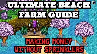 Stardew Valley Ultimate Beach Farm Guide | How To Make Money Without Sprinklers screenshot 3