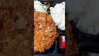 Download Lagu Tonkatsu Bento I bought in Japan MP3