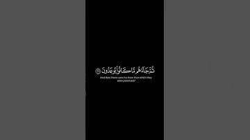 أفرأيت إن متعناهم سنين |ماهر المعيقلي #سورة_الشعراء #القرآن_الكريم #قرآن #Quran #alquran #sunnah