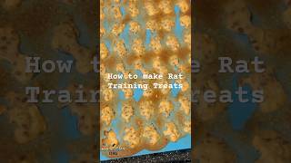 #howtomakerattreats #makingrattreats #rattreats #rattreatrecipe #diyrattreats #treatsforrats #treat