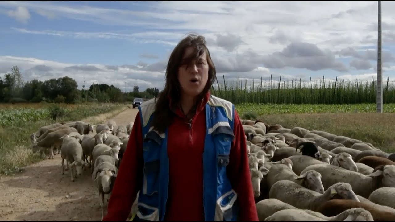 DESPACITO 'Mujeres al viento'   GeR