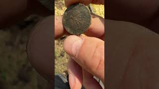 #poszukiwania #metaldetecting #shortvideo #metaldetector #money #historia #coin #poland