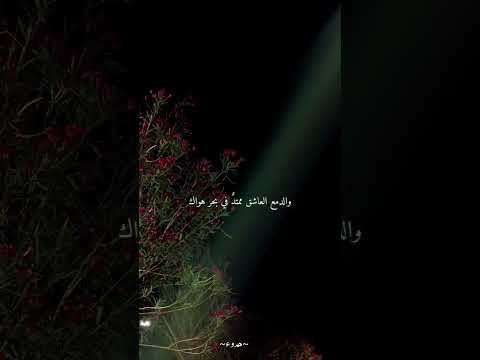 لا يؤنس قلبي حين يجيئ الليل سواك