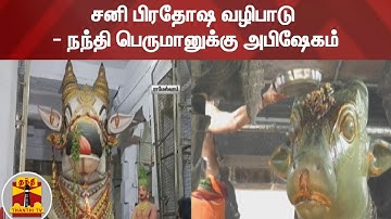 சனி பிரதோஷ வழிபாடு - நந்தி பெருமானுக்கு அபிஷேகம் | Tiruvannamalai