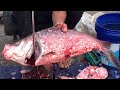 W😱w...Big Size Katla Fish Cutting In Bd Market