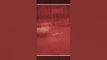 Break A Leg #Fallout4 #FortHagen