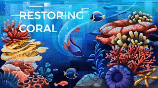 Restoring Coral