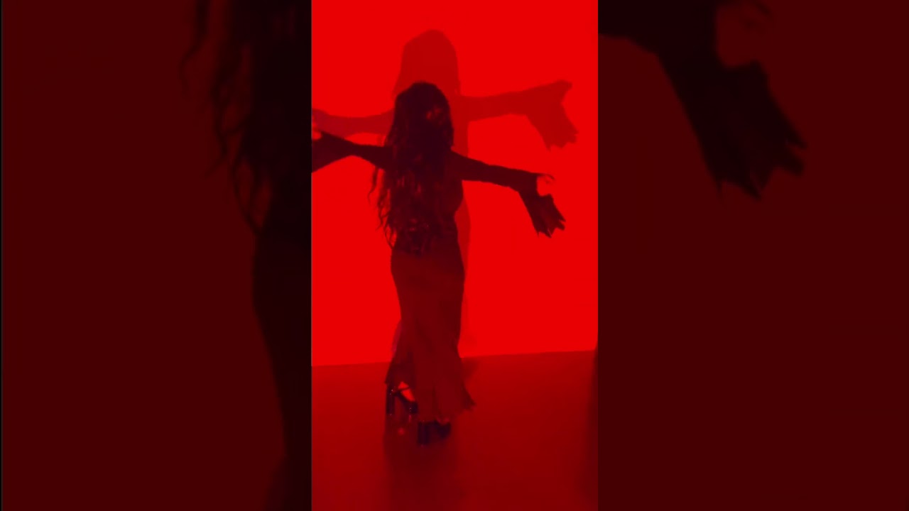 “Elvira,” Mistress of the Dark- 