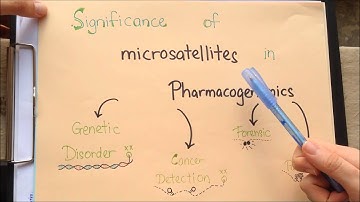 FAR459_Group 3 Repetitive DNA Sequence (2015)