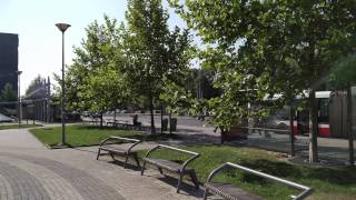OnePlus 2: Camera demo (4k resolution)