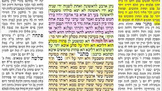 הדף היומי מסכת ערכין דף ח Daf yomi Arachin daf 8