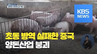 중국 양돈산업 붕괴…“170조 원 피해” / KBS뉴스(News)