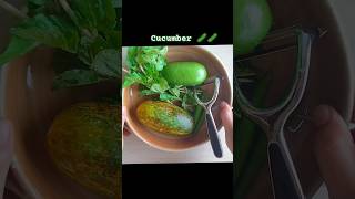 Cucumber Cutting শশা কাটিং া ্যা